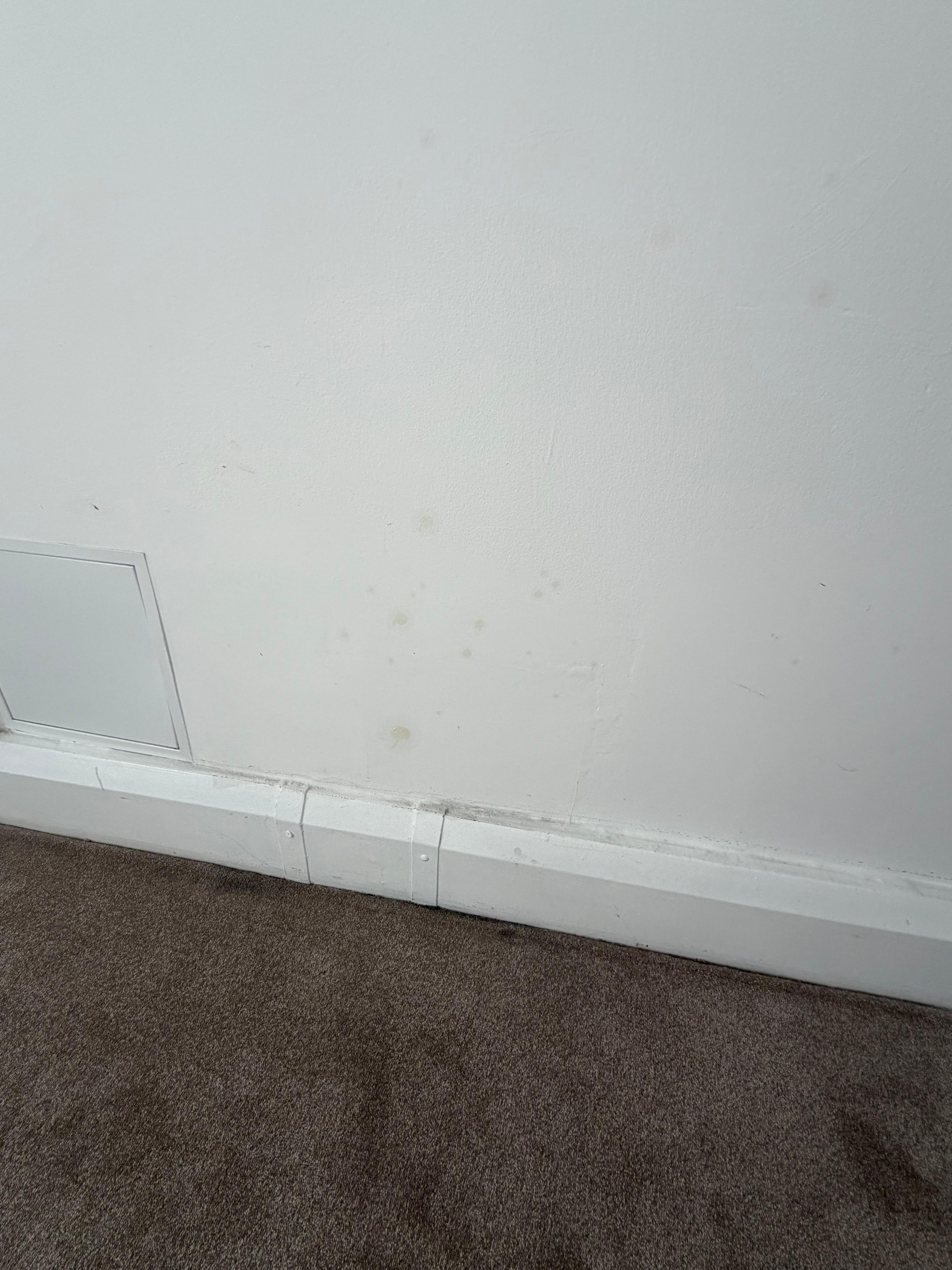 Stains on wall