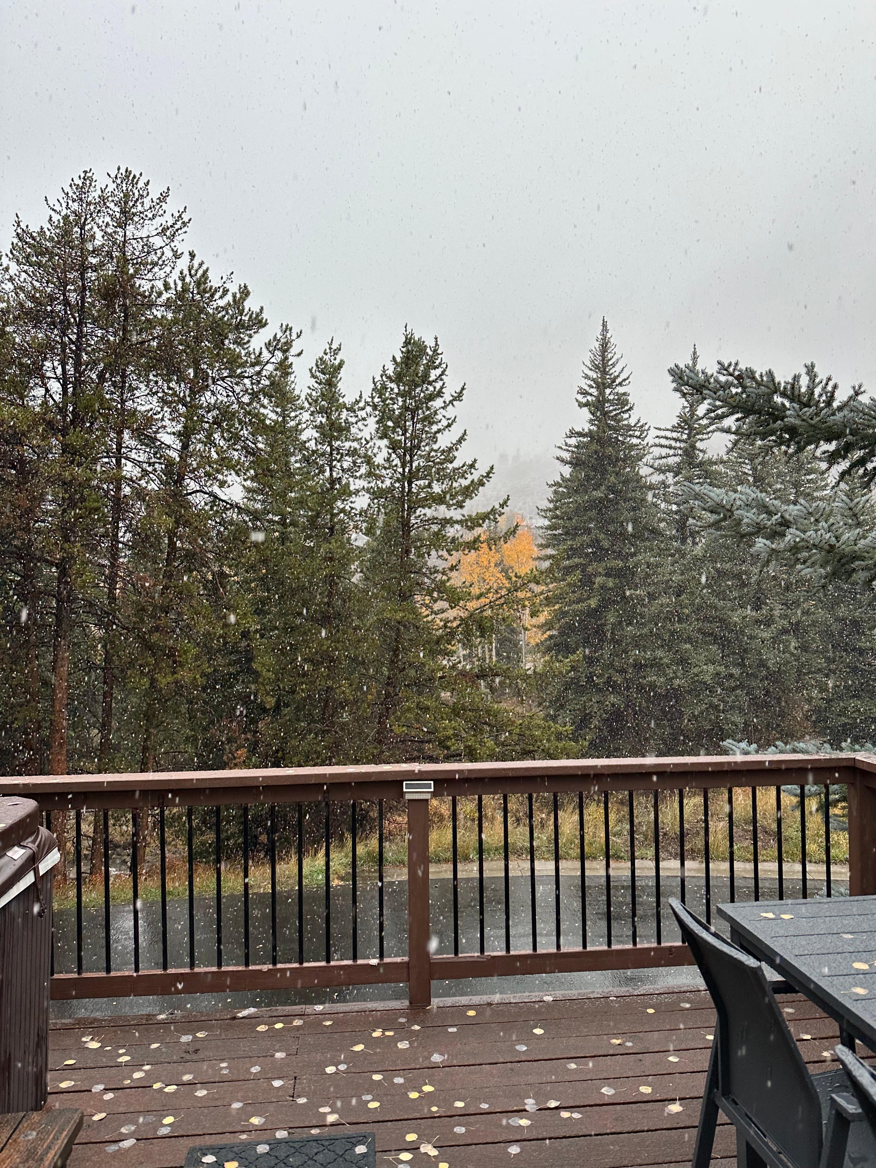 View on the patio while snowing!