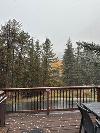 View on the patio while snowing!