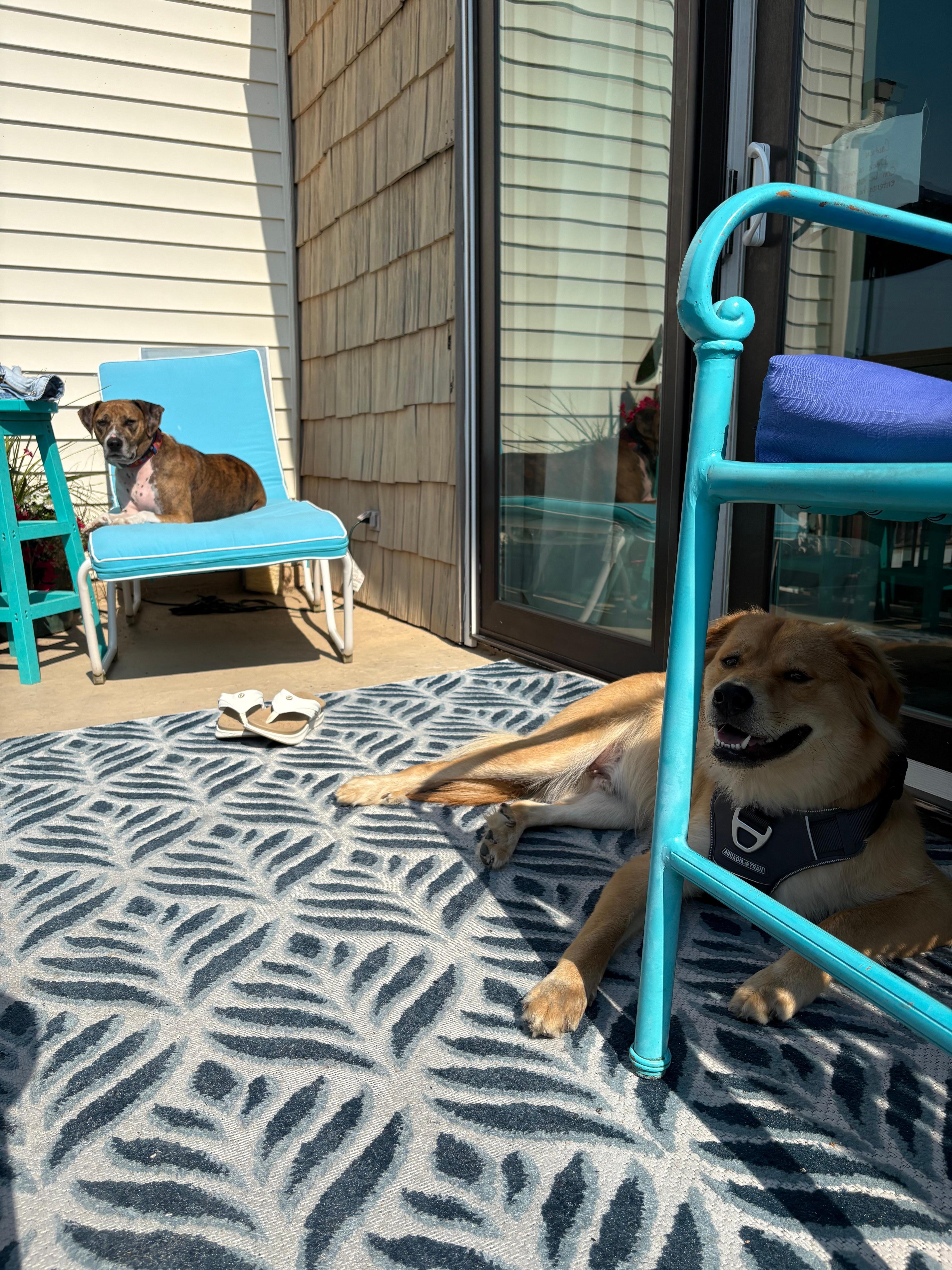 We loved sitting on the deck watching the town.
