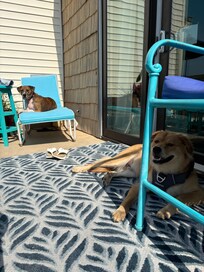 We loved sitting on the deck watching the town.