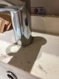 Black mold I detailed