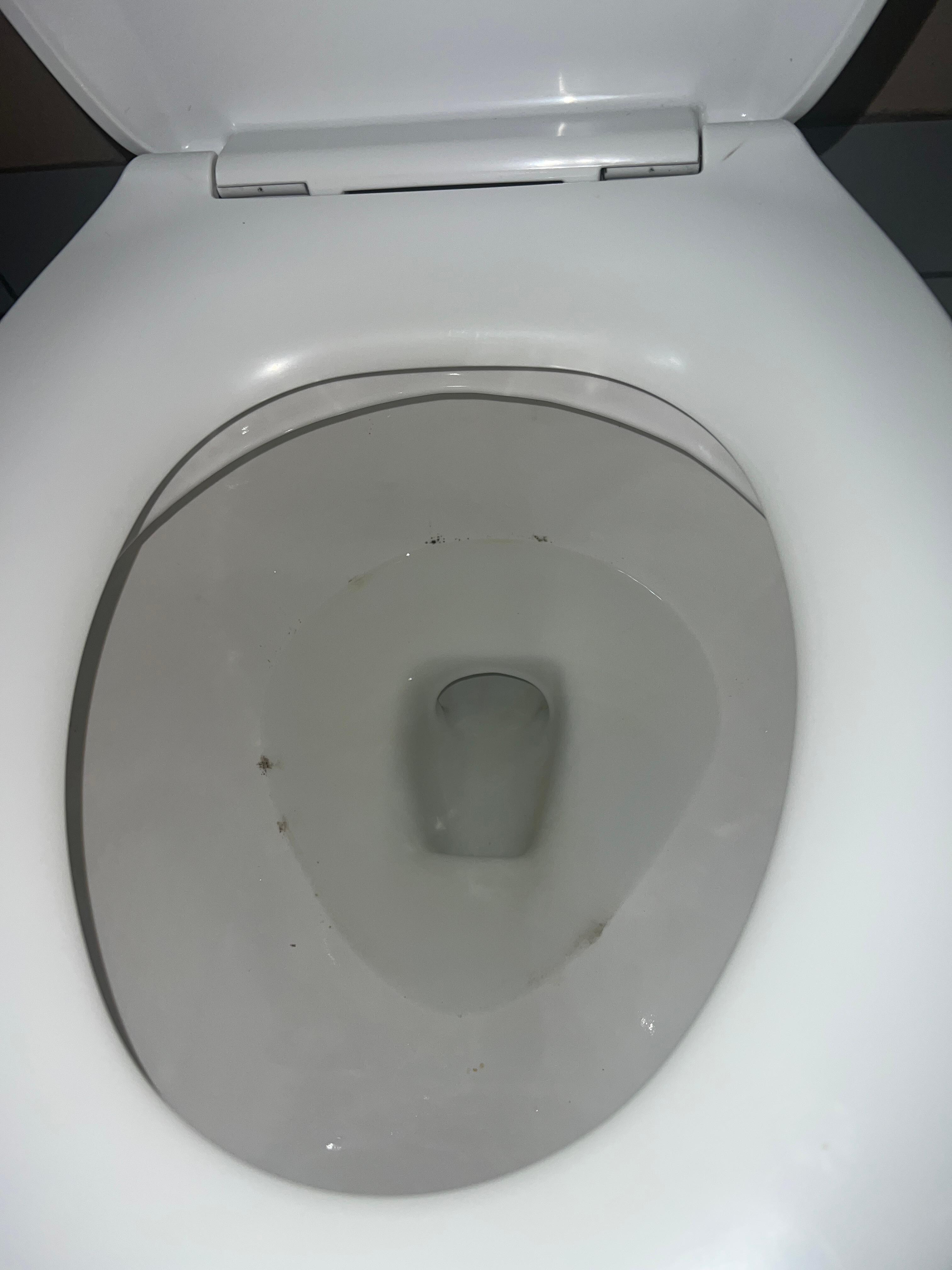 dirty toilet