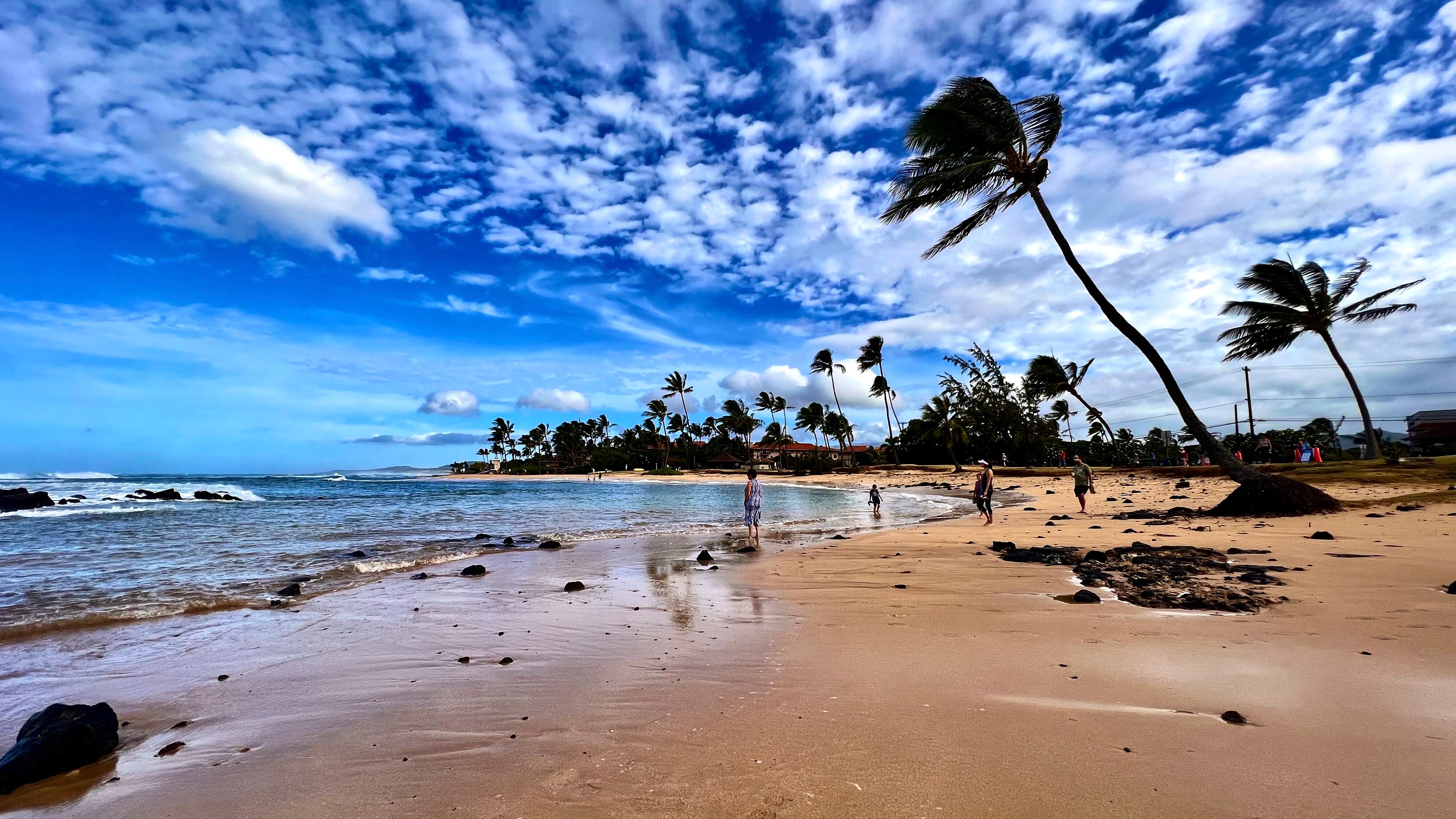 Poipu Beach is a kid-friendly beach, definitely recommended when the water waves are calmer.