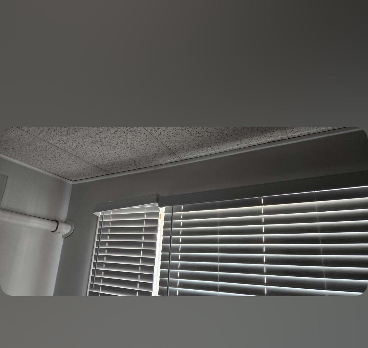 No curtains/able to see through the side