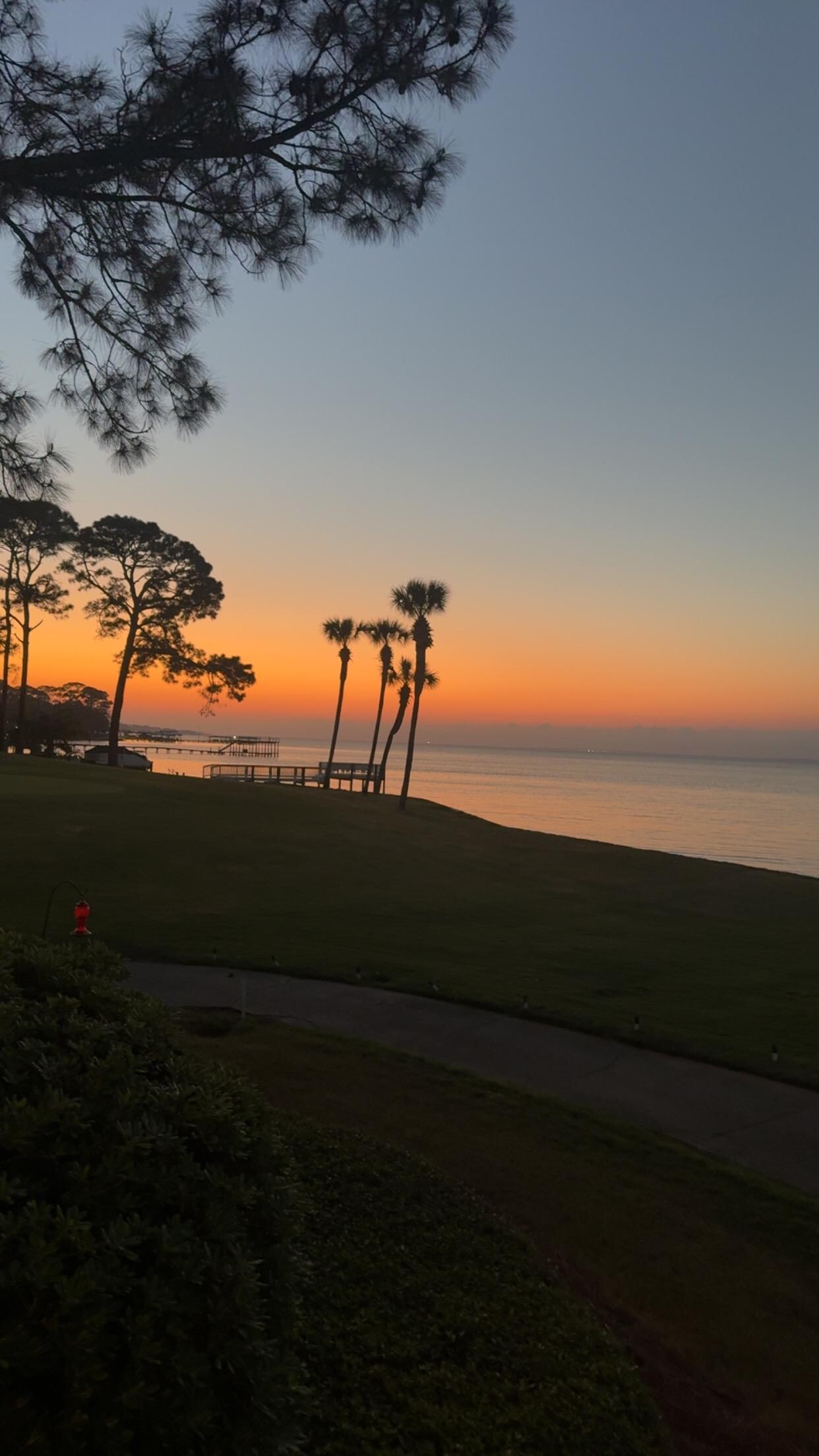 View from back porch