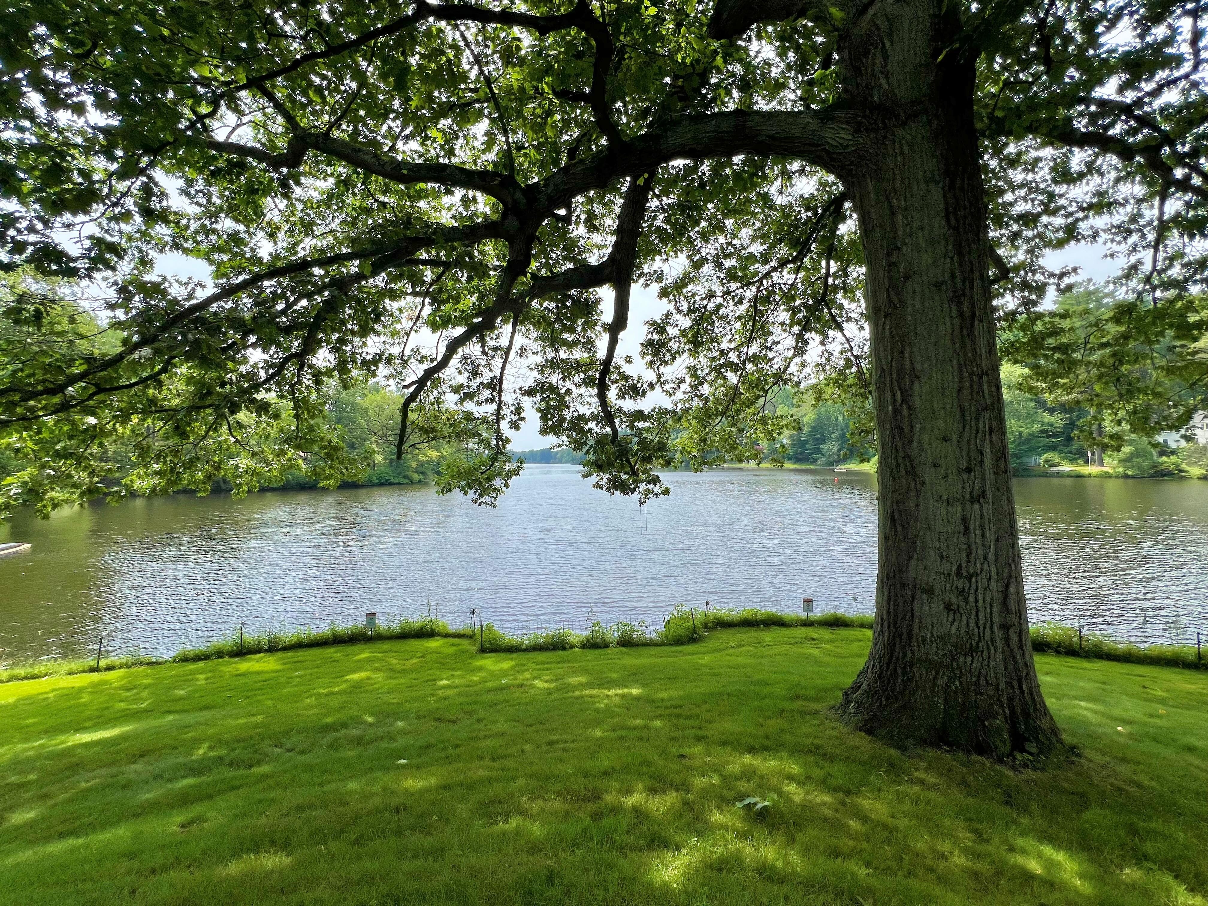 Lake view from the deck
