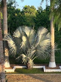 View from the Veranda