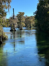 Edward Ball Wakulla Springs State Park