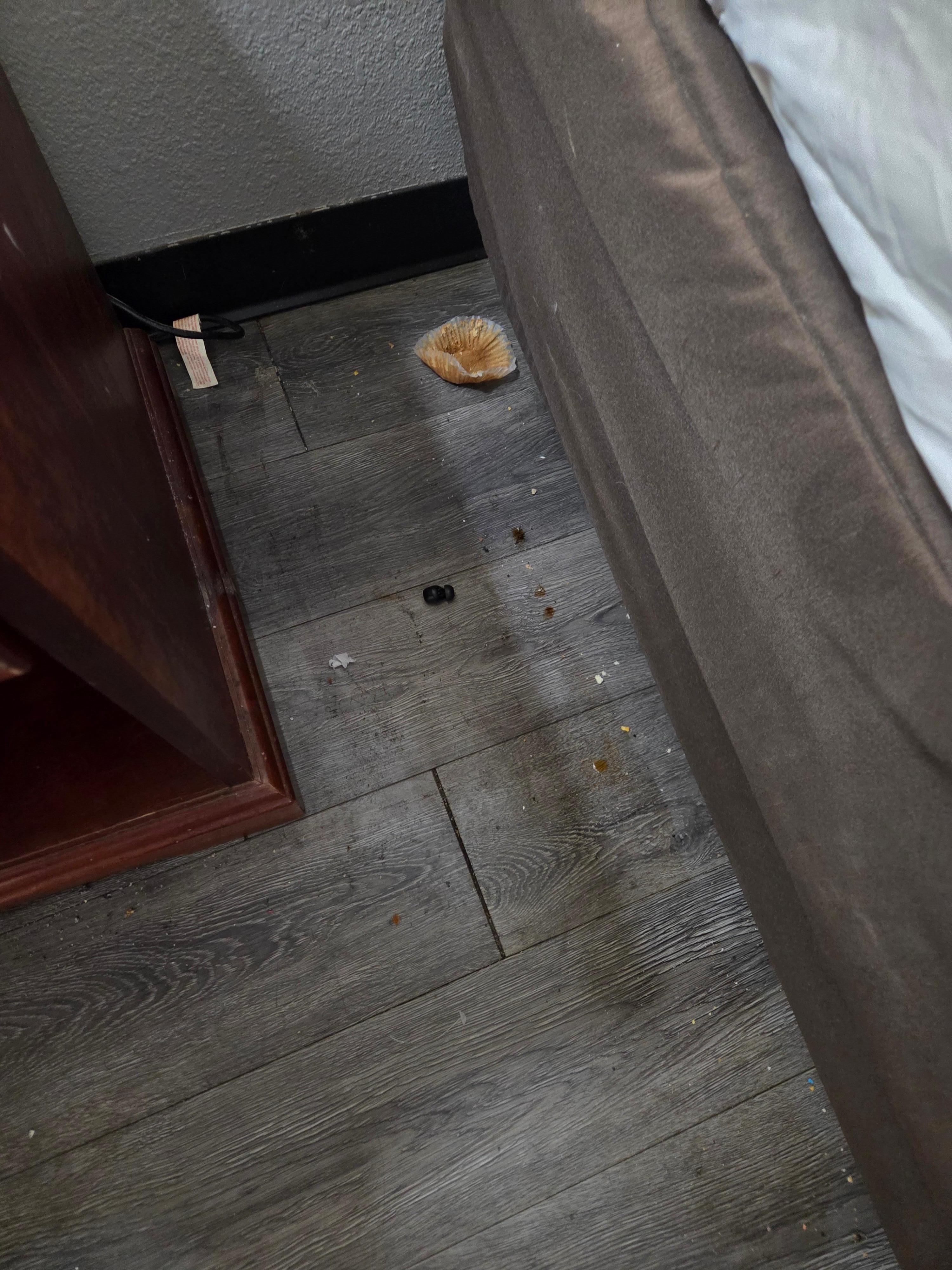Crumbs and trash beside the bed