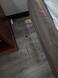 Crumbs and trash beside the bed