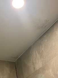 Mold in bathroom ceiling