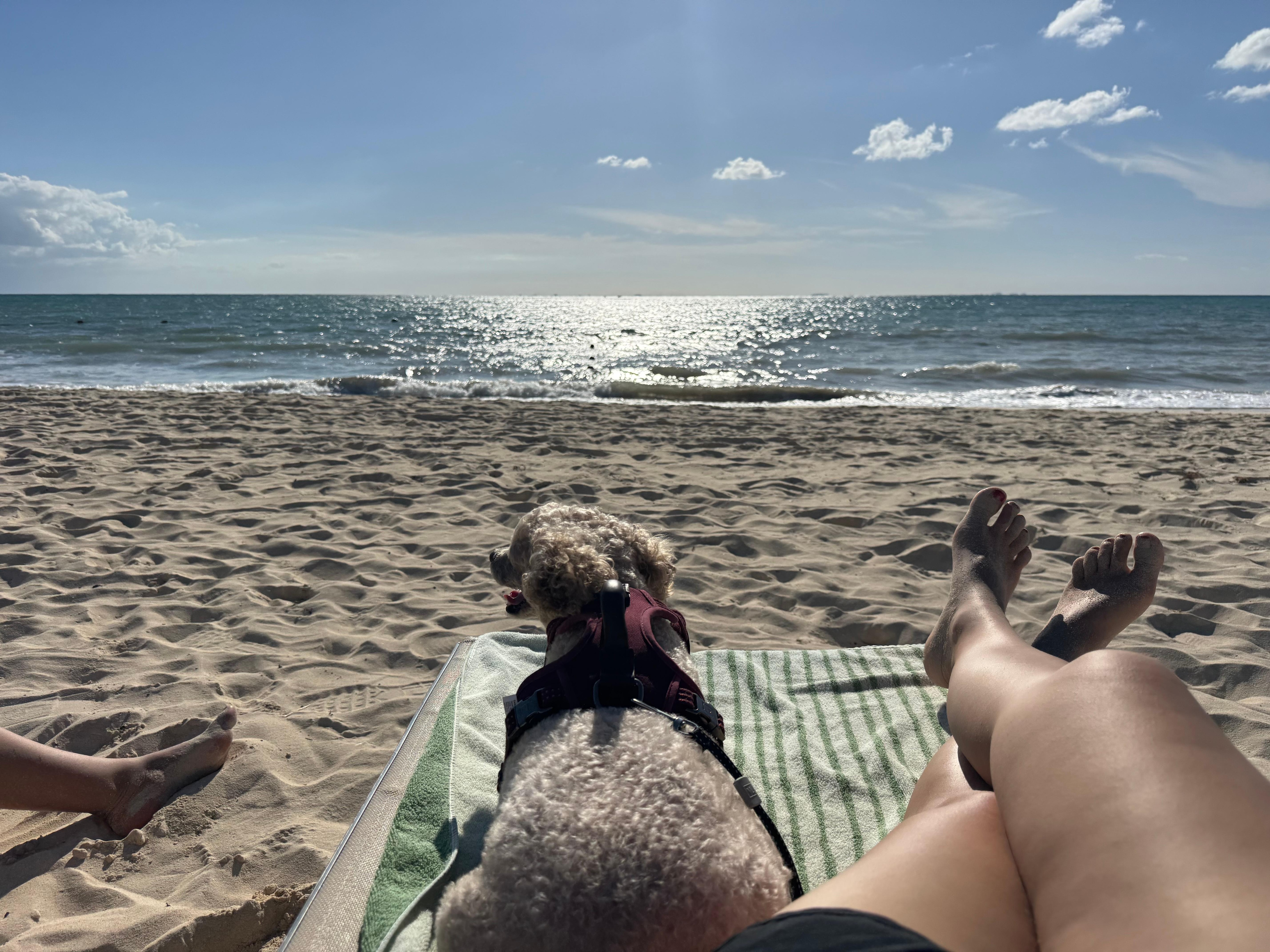 The inly great thing was that my dog had no restrictions throughout the resort. 