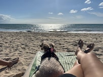 The inly great thing was that my dog had no restrictions throughout the resort.