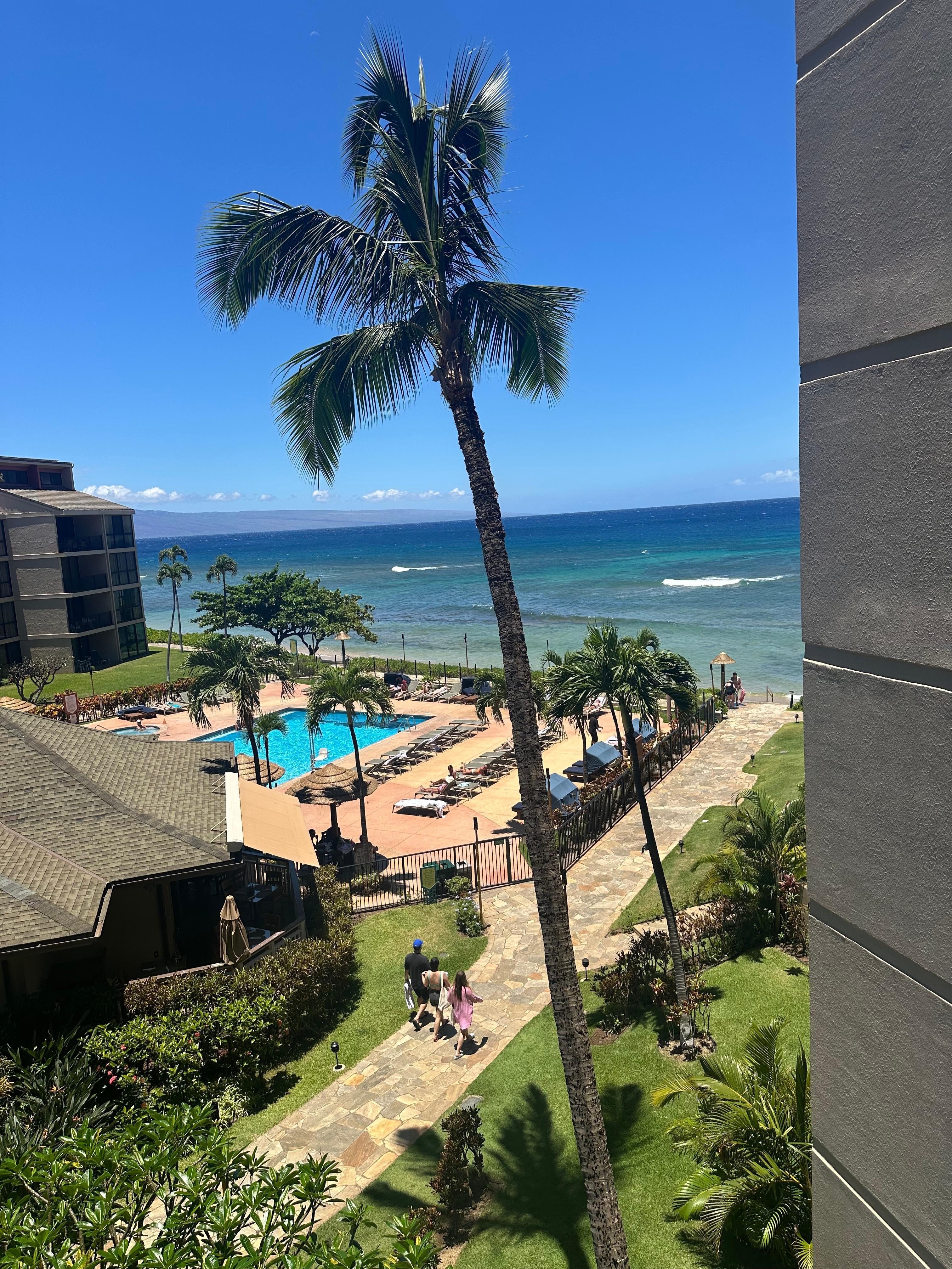 View from the room. 