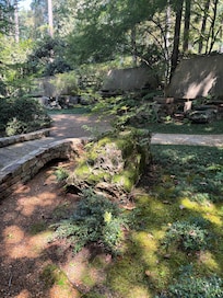 Garvan Woodlands Garden.