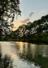 View from back decks