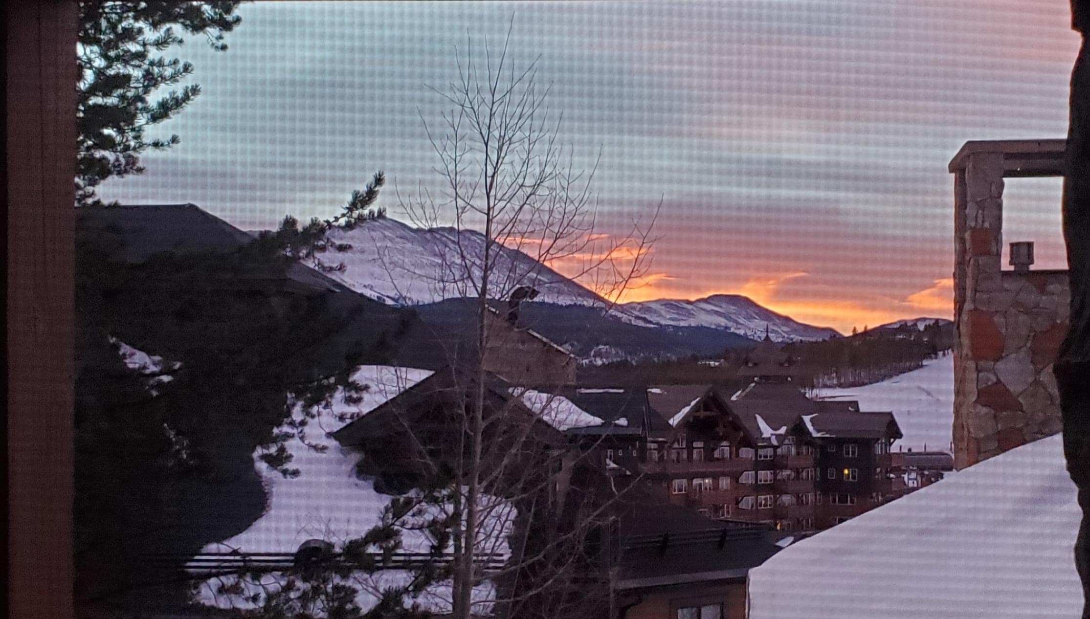 View from the living room