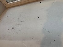 Dirty window sills but clean toilets & sinks