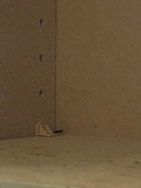 Cucaracha 1