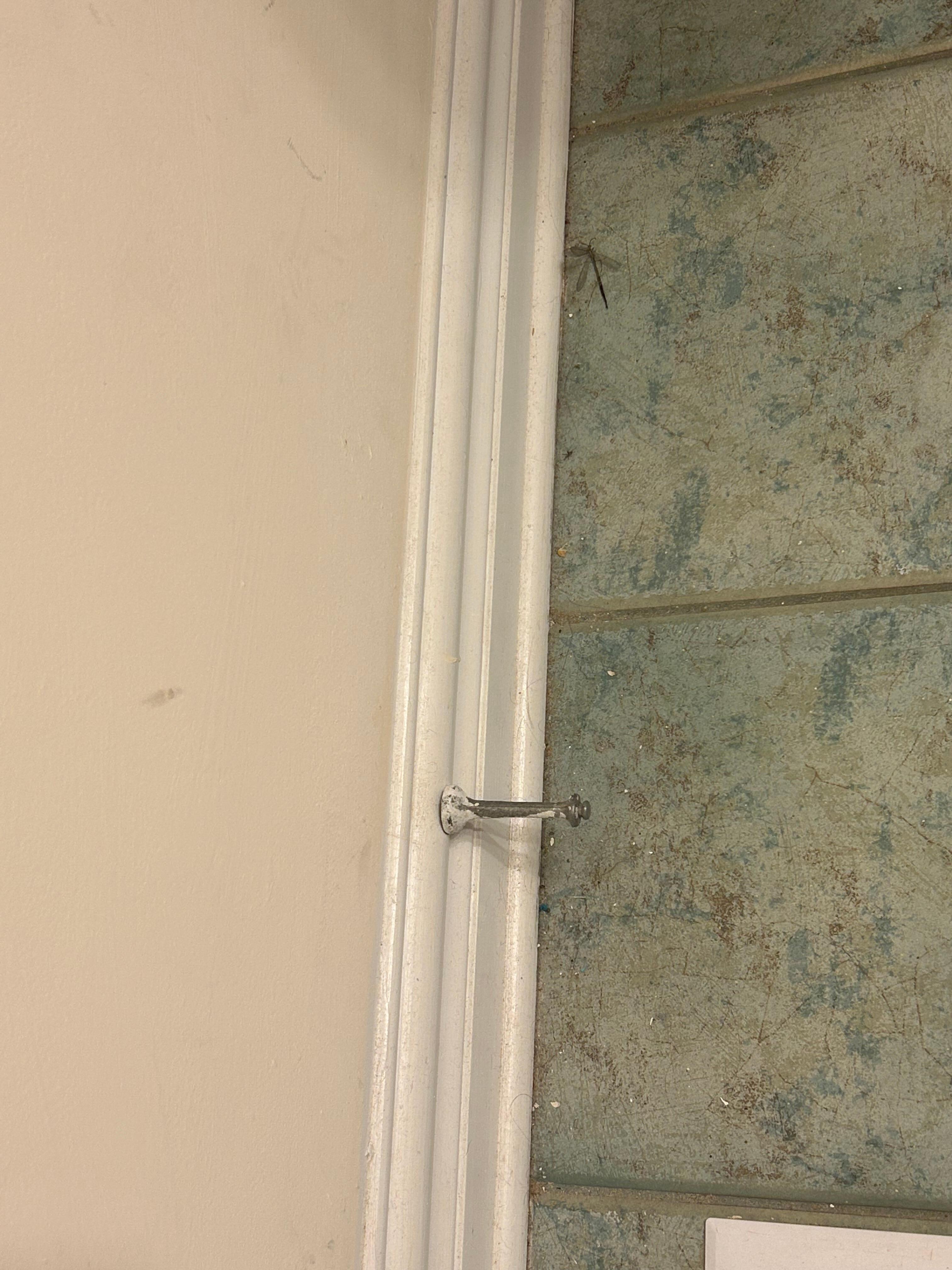 Bathroom floor
