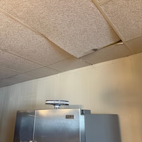 Ceiling tiles