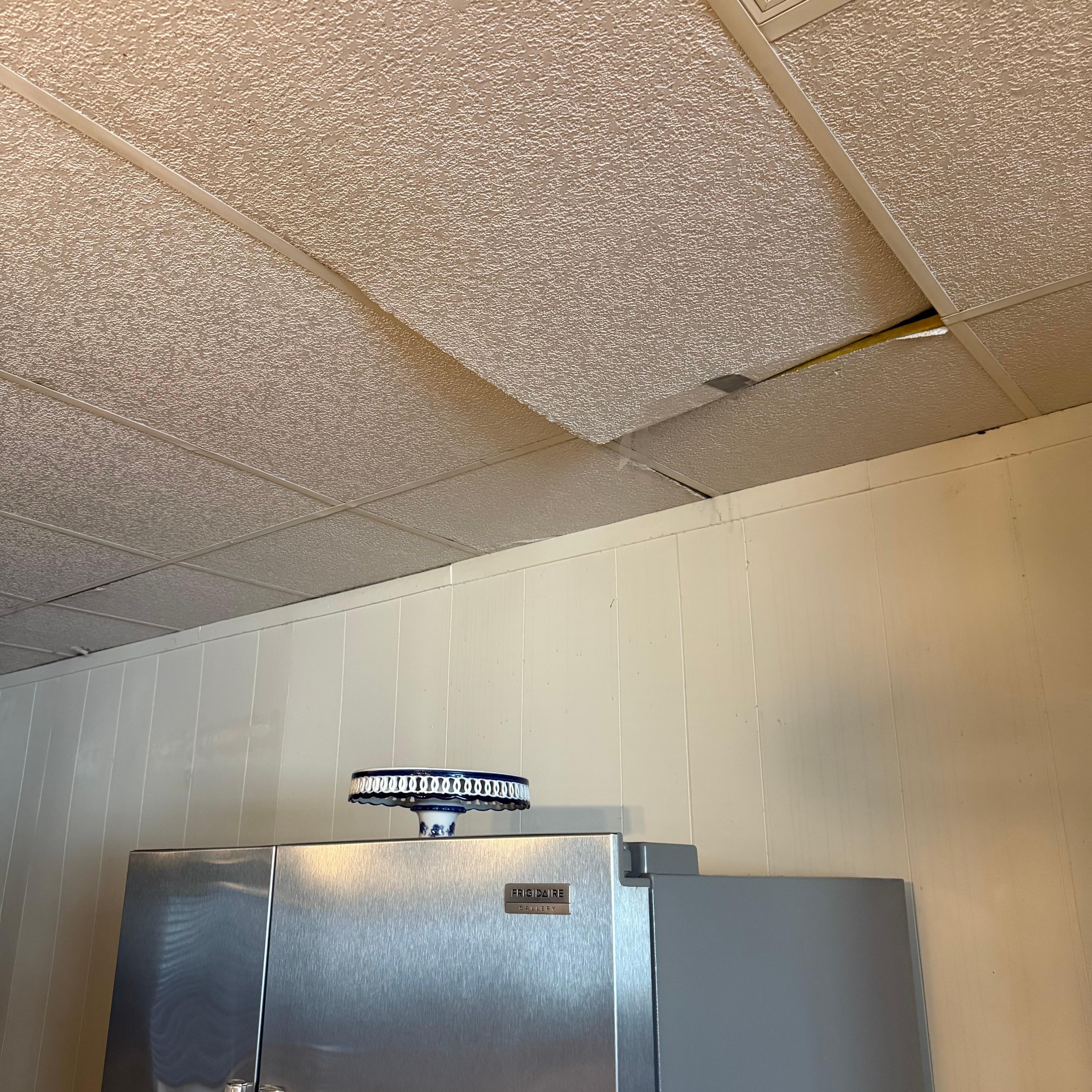 Ceiling tiles 