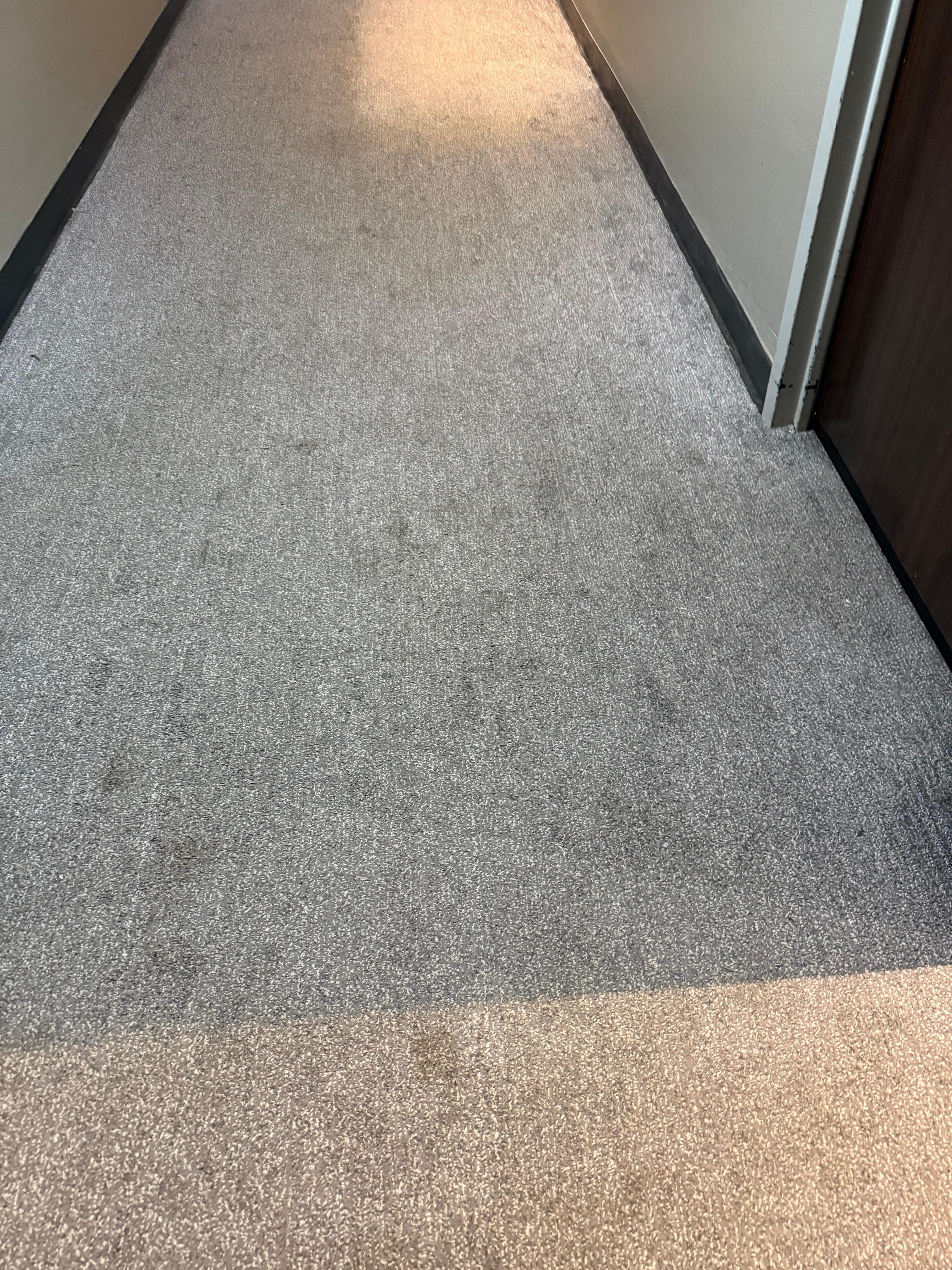 Carpets in hallways on room floors. 