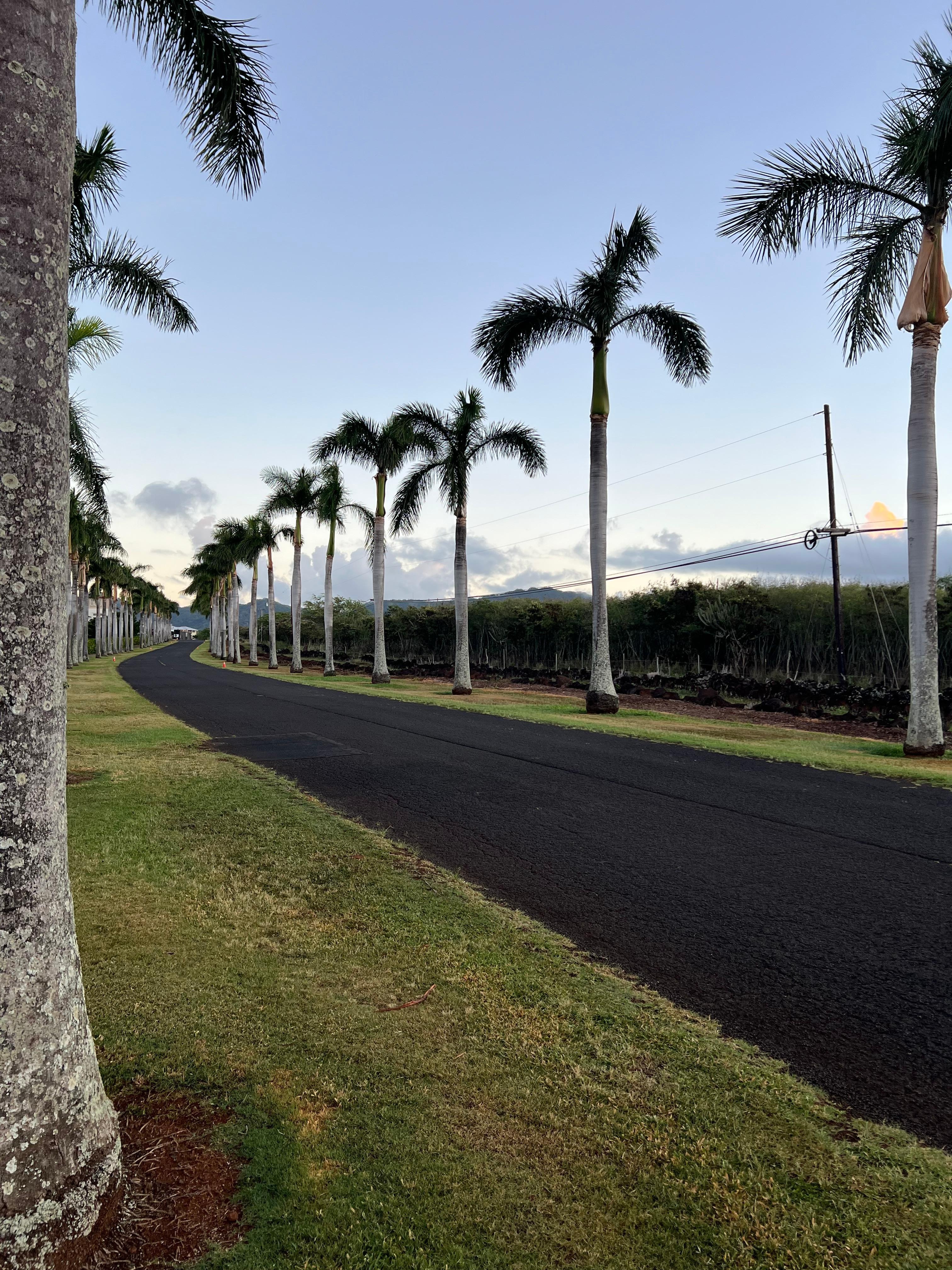 Walking path out front