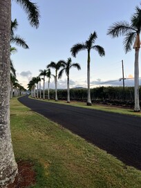 Walking path out front