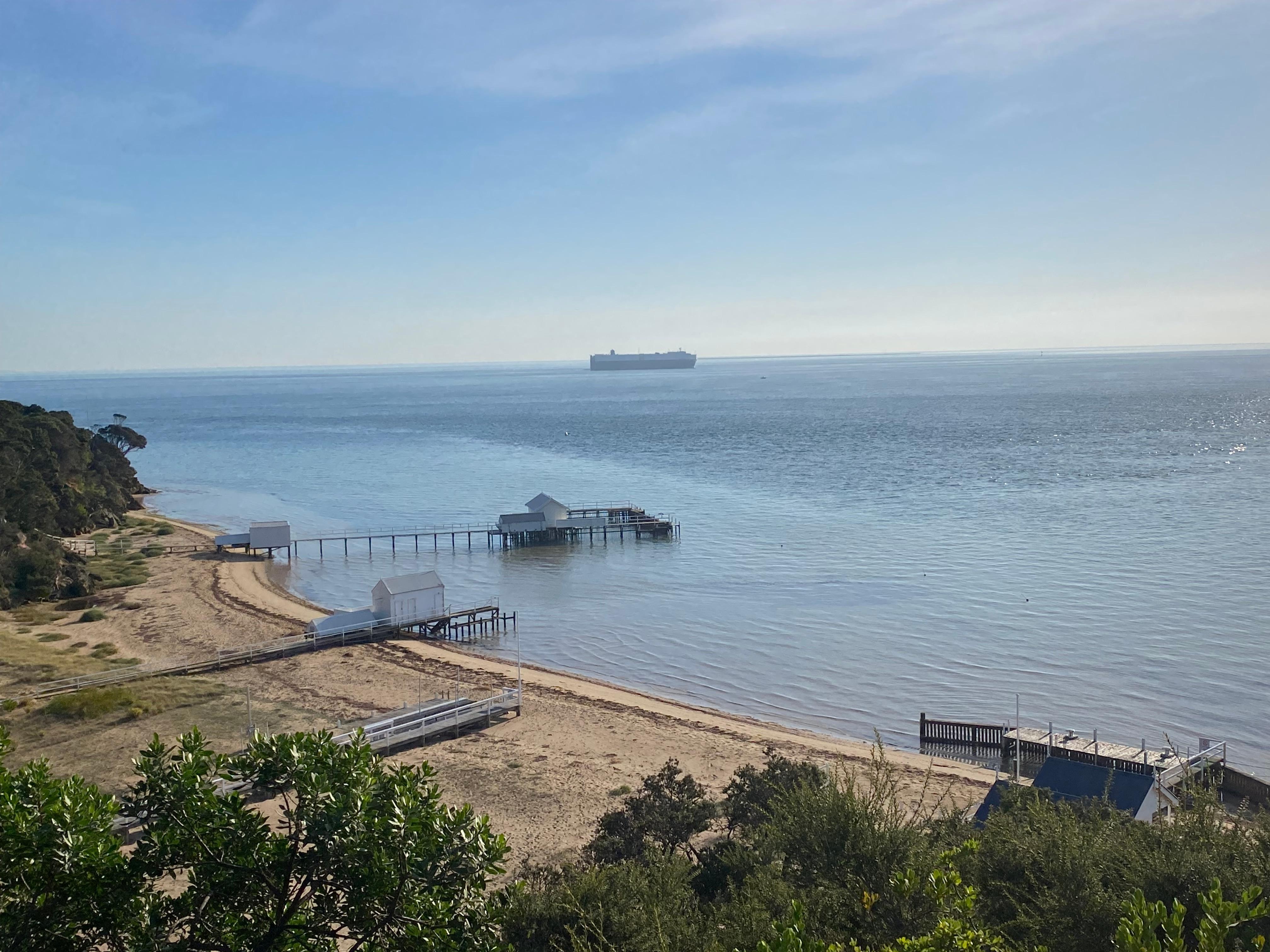 Port Phillip bay swim spot below Millionaires walk