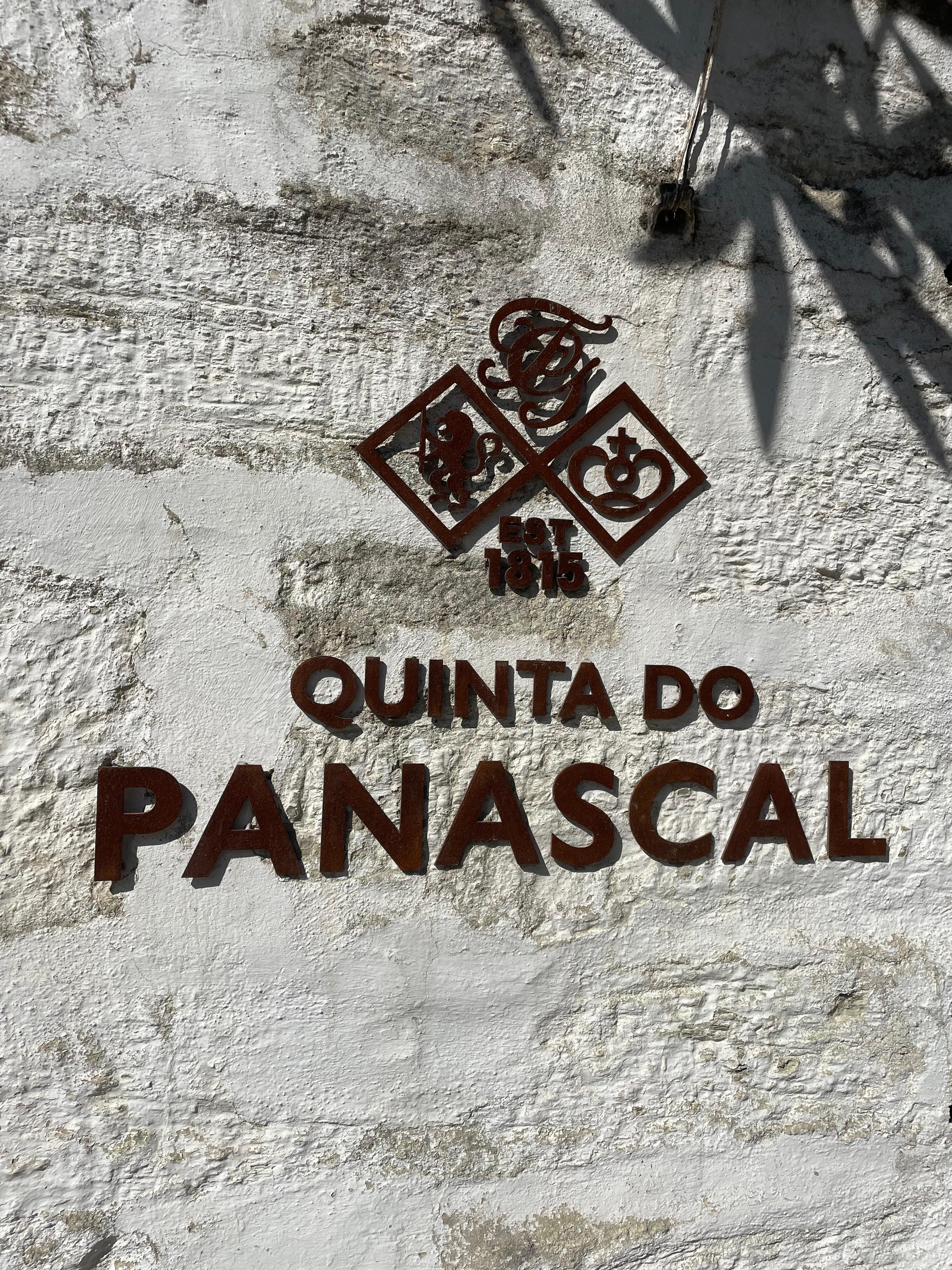 Recommend a Douro Valley Wine Tour