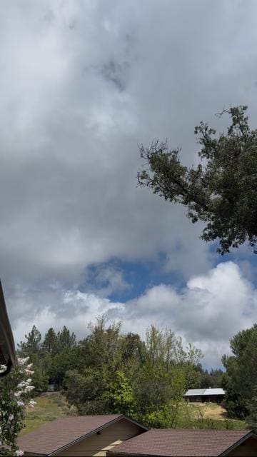 Relaxing view from the patio with that lovely lilac bush on the left.