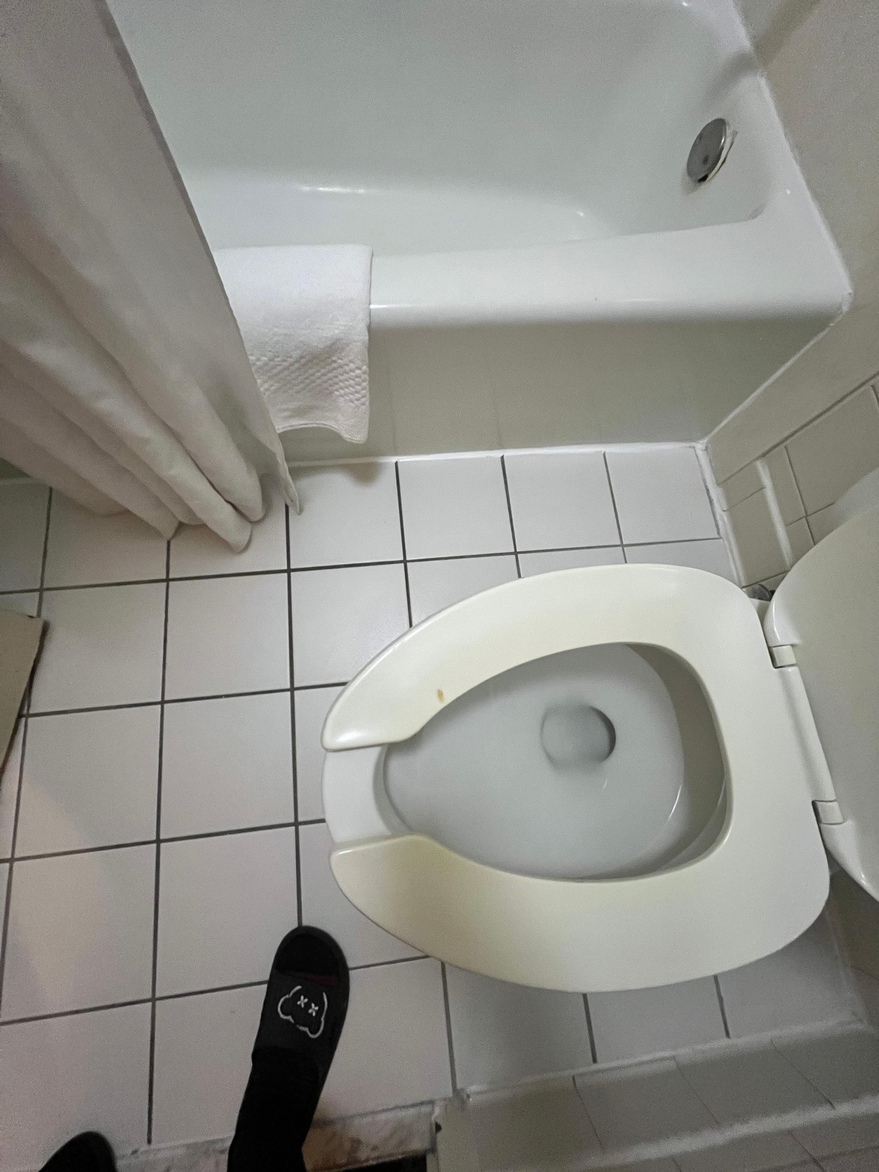 Stain or burn on toilet seat