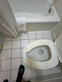 Stain or burn on toilet seat