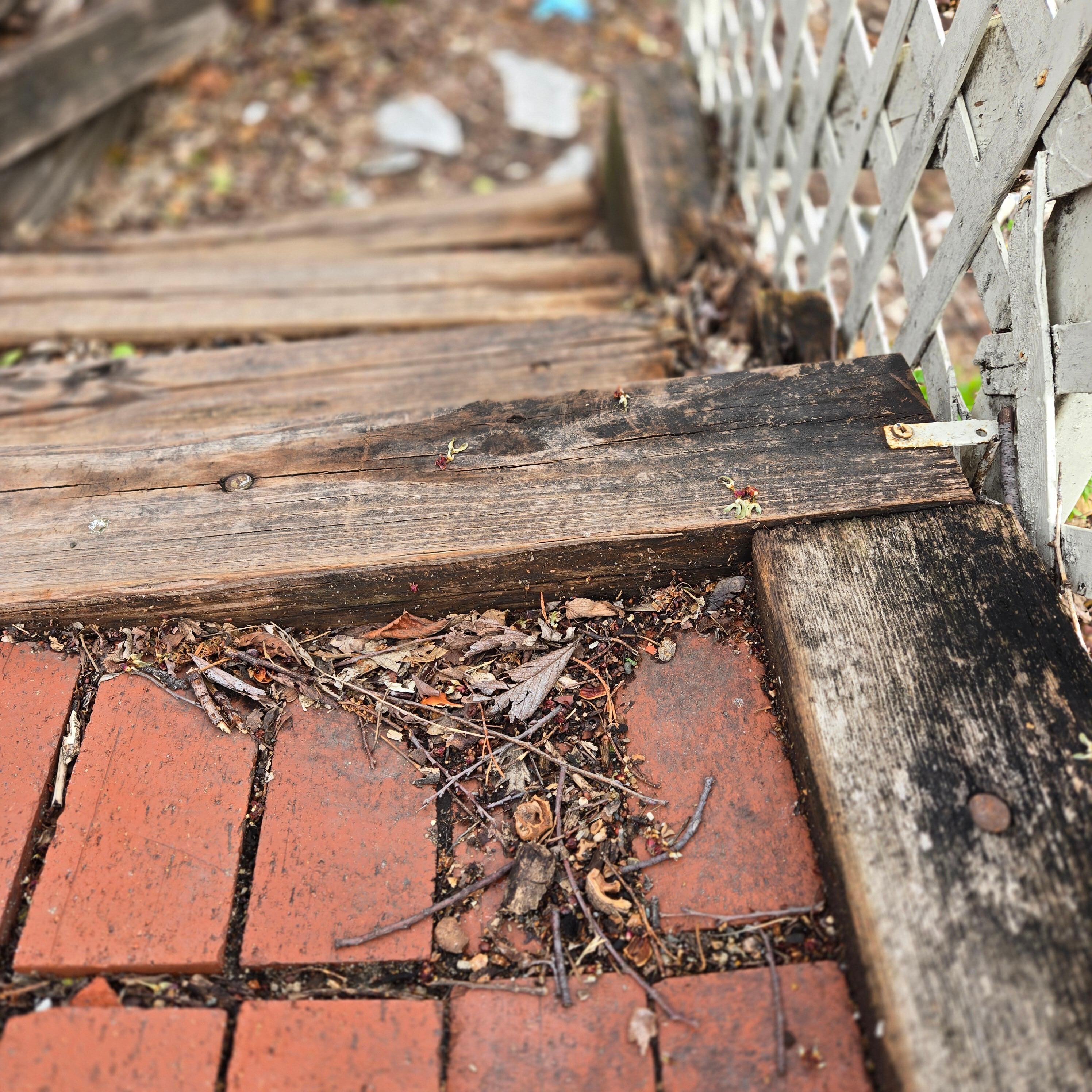 Steps from back alley parking