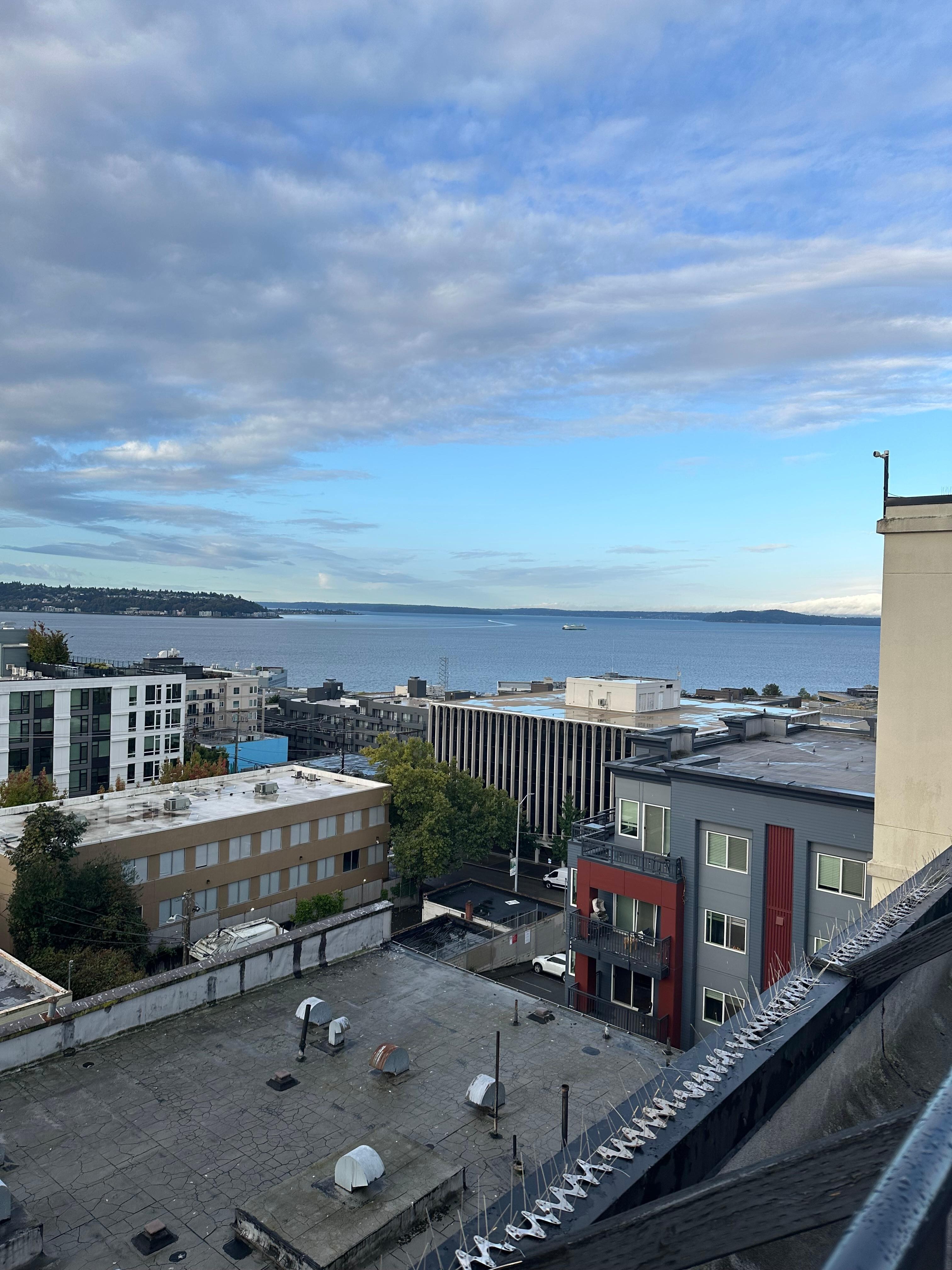 from rooftop sitting area 