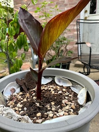 Mrs. Kennedy’s room was so beautiful and the bed was super comfy!