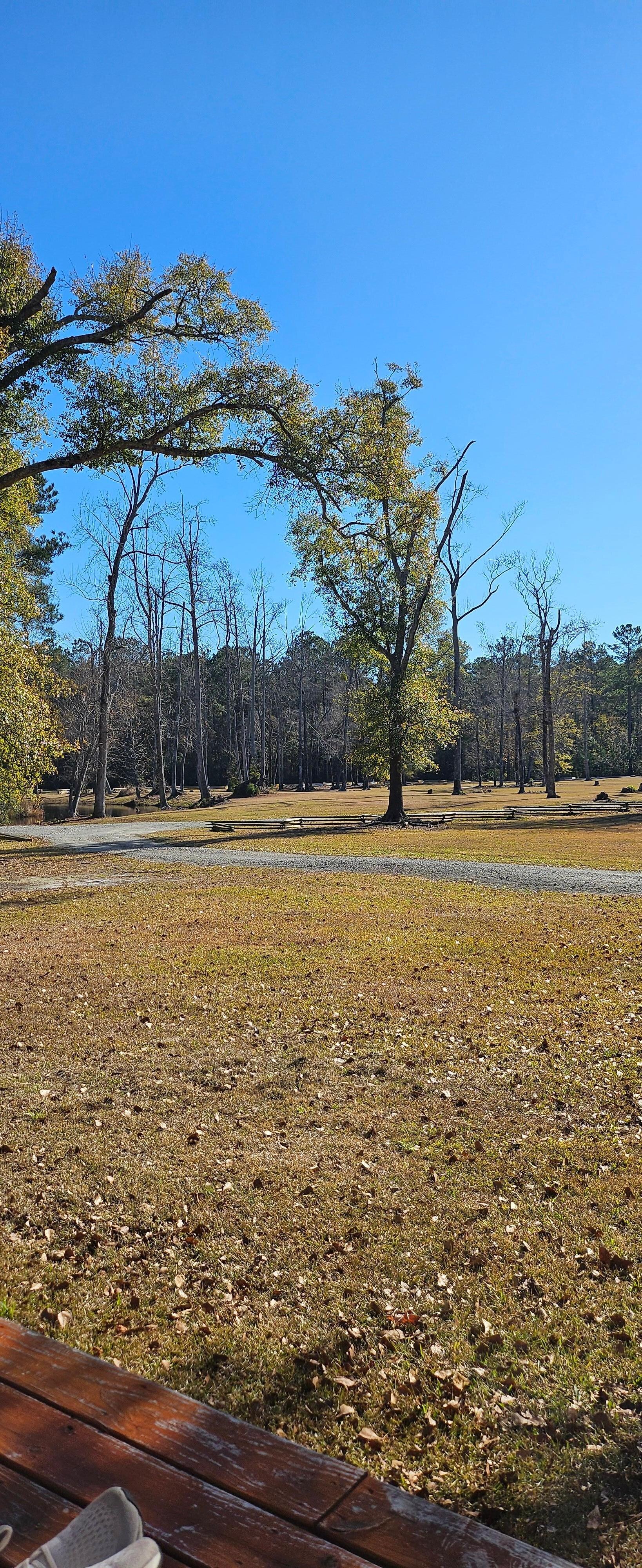 Morning coffee outdoors on porch in serene space.