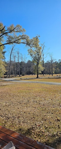Morning coffee outdoors on porch in serene space.
