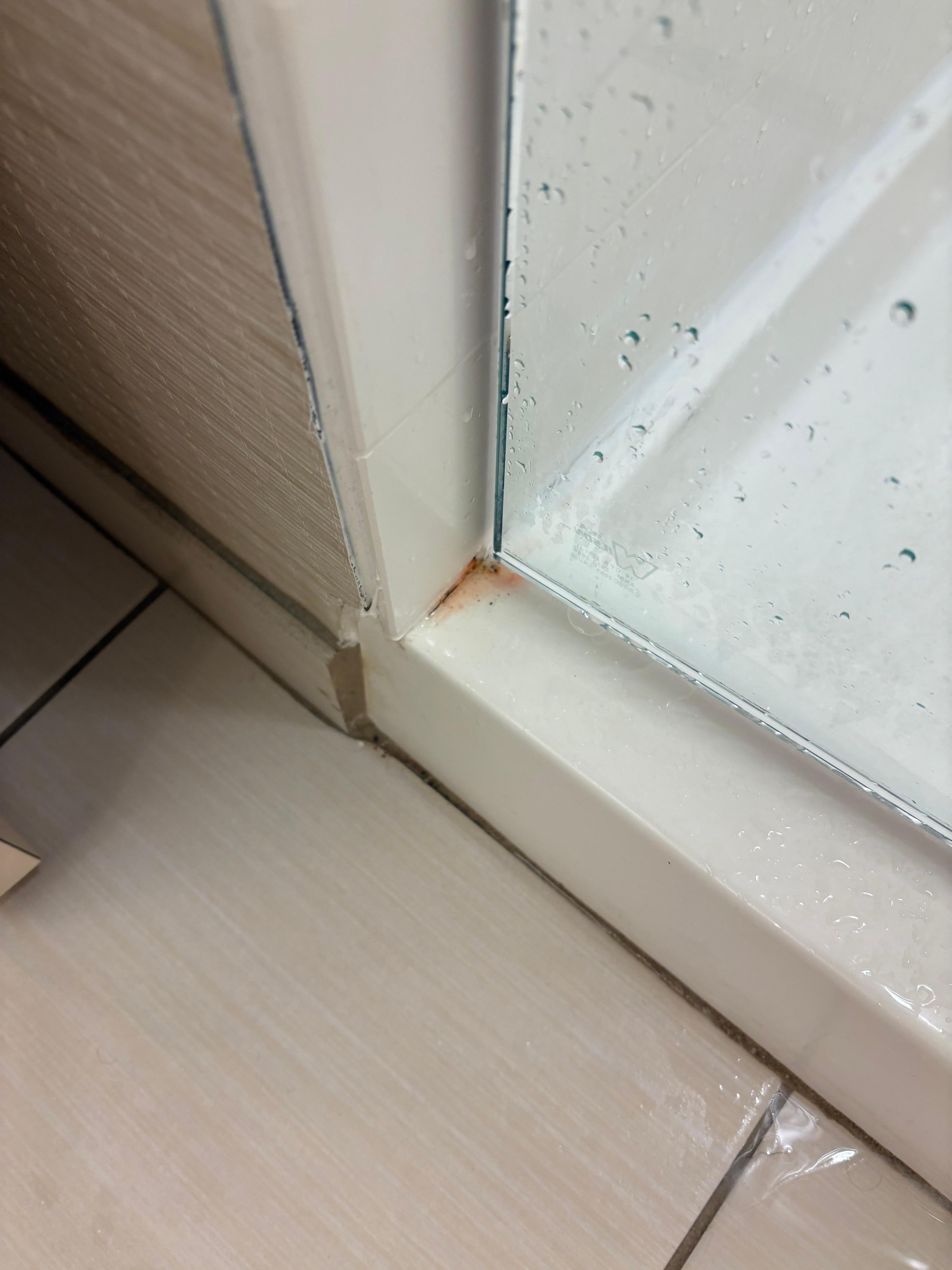 Pink mold