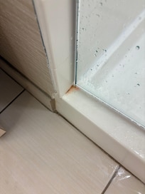 Pink mold