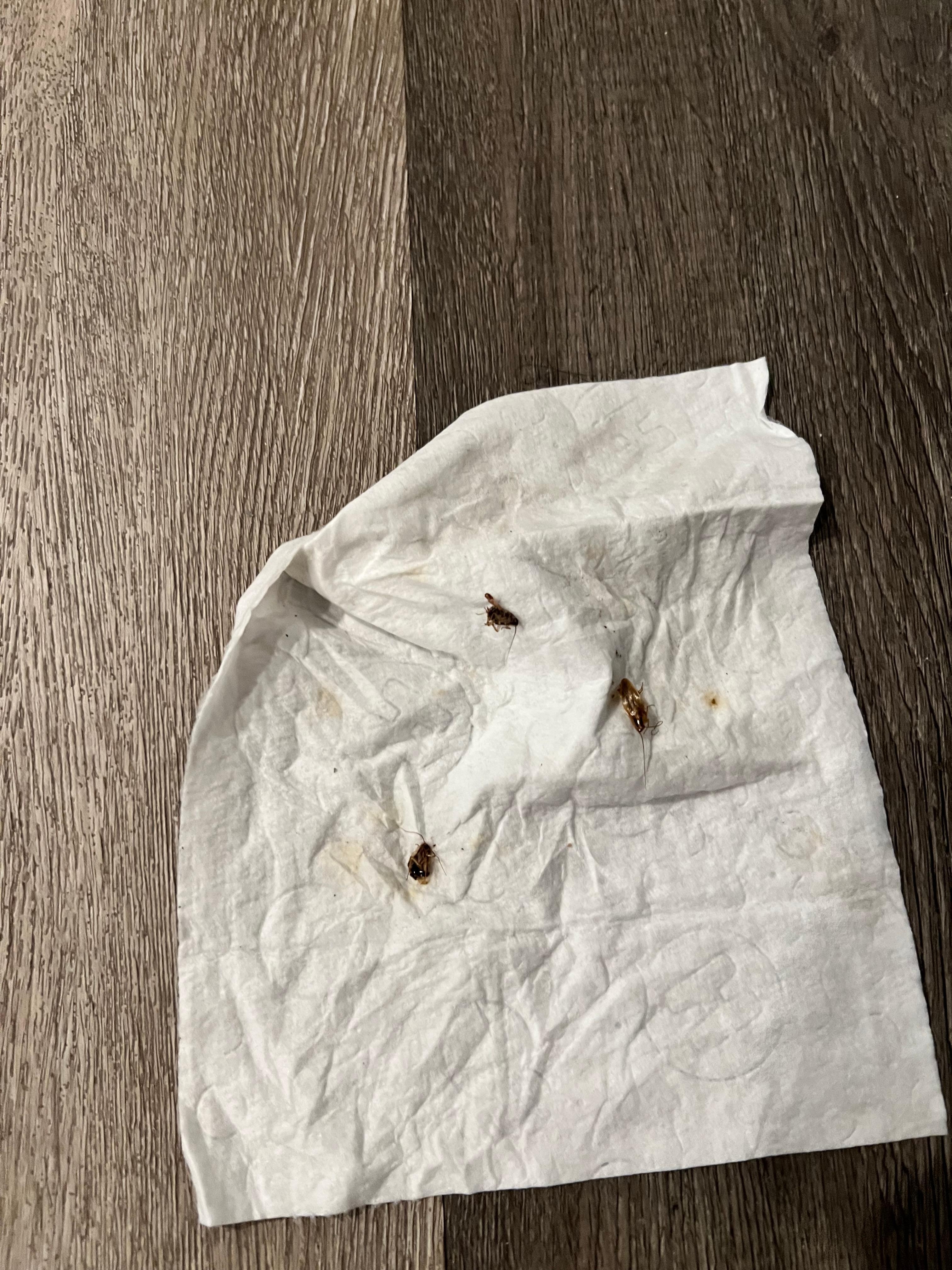 Cockroaches on the second floor. That says A LOT!!! 