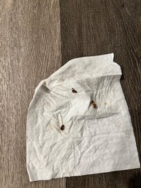 Cockroaches on the second floor. That says A LOT!!!