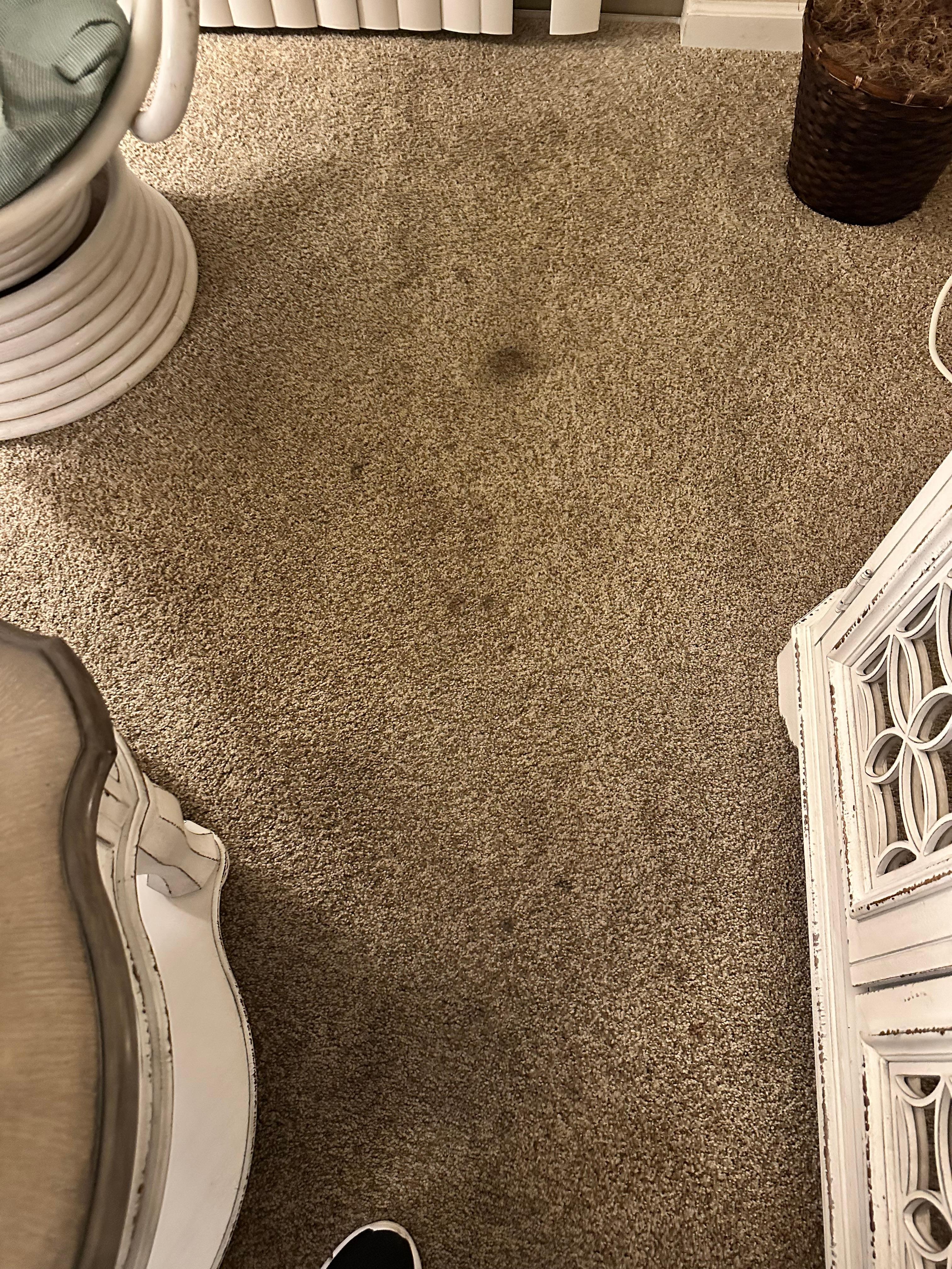 Carpet stains 