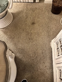 Carpet stains