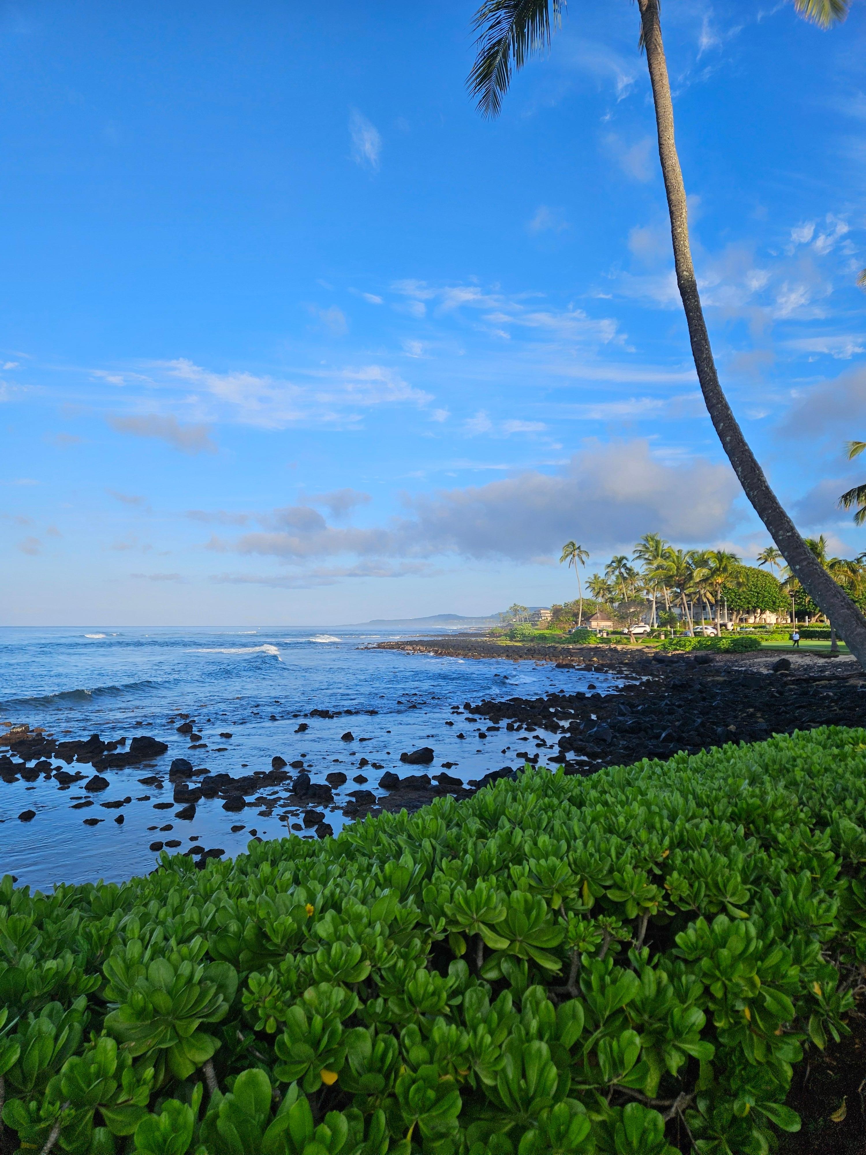 The view from the Sheraton