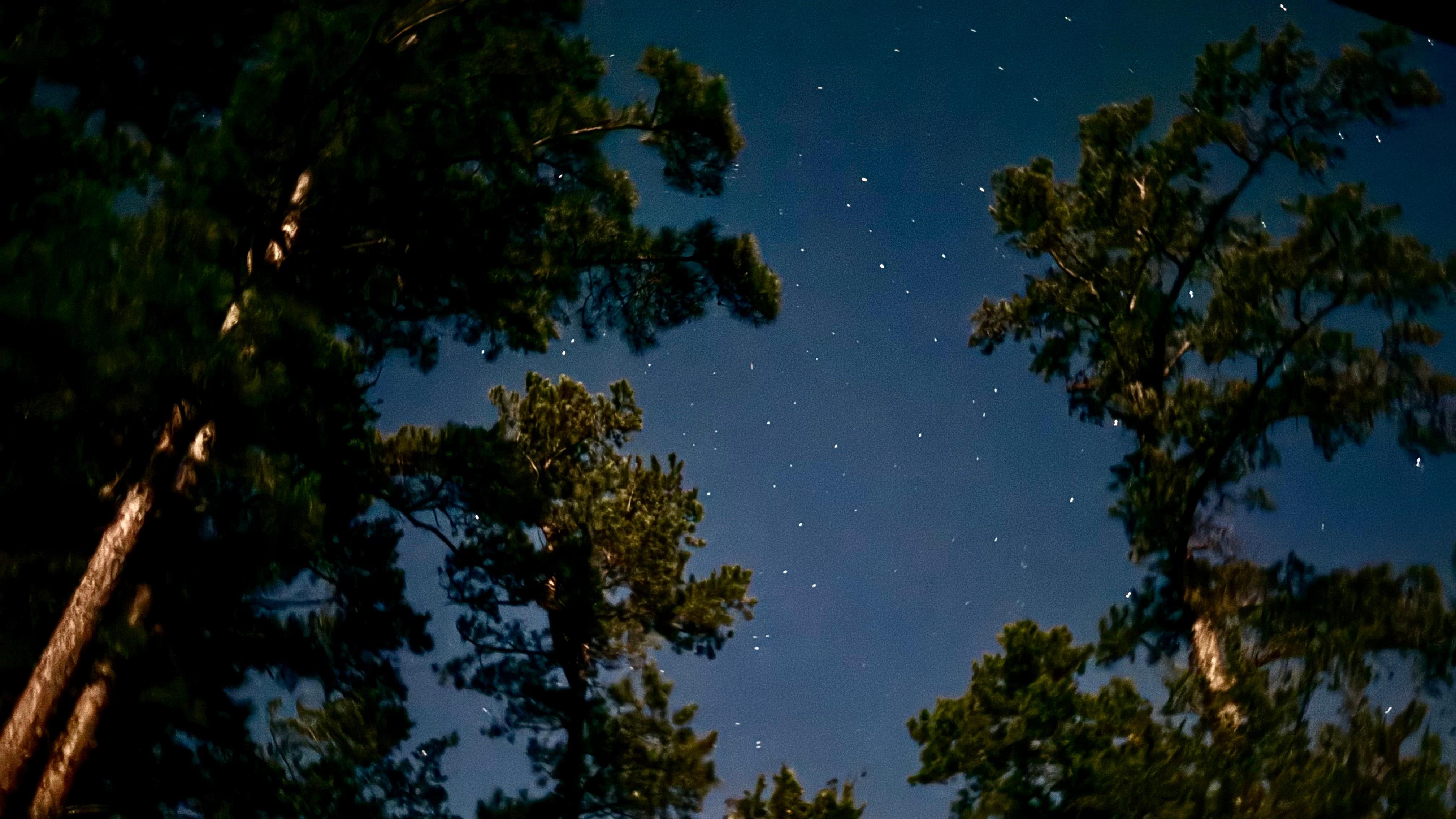 Stars at night were amazing