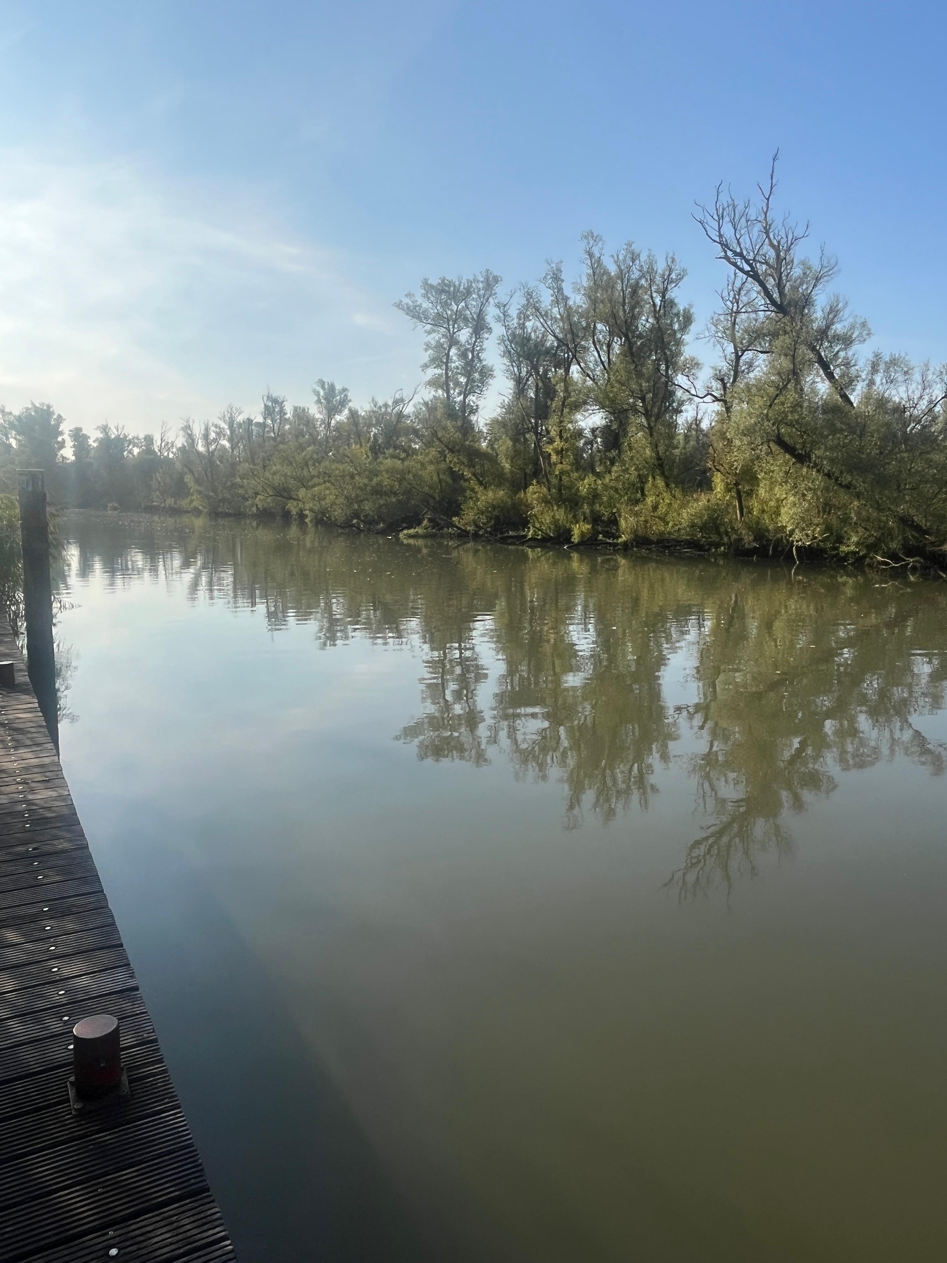 The Biesbosch. View of the river from the garden of the hostel