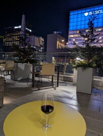 Rooftop bar and grill